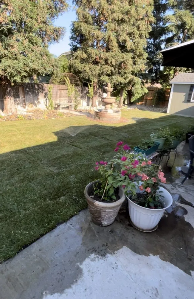 Affordable yard maintenance experts serving Modesto, CA - Romero Landscape