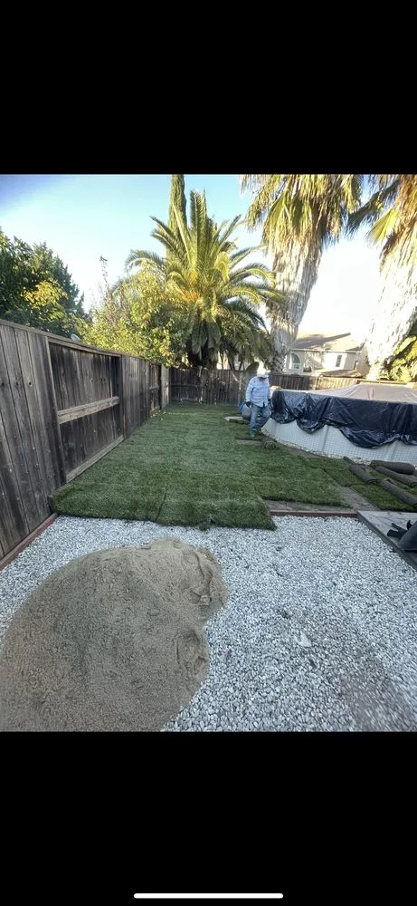 Affordable yard cleanup service experts serving Modesto, CA - Romero Landscape