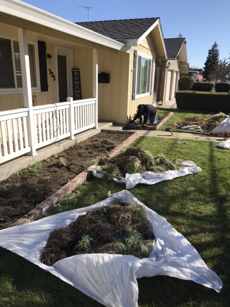 Custom yard cleanup service for residential properties across Tracy, CA - Romero Landscaping & Irrigation