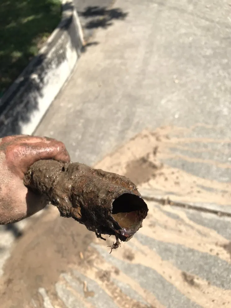 Expert lawn care service for beautiful yards in Tracy, CA by Romero Landscaping & Irrigation