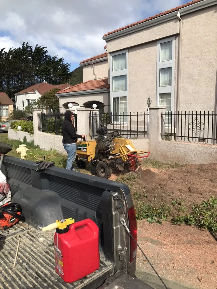 Reliable garden landscaping for residential properties in Tracy, CA by Romero Landscaping & Irrigation