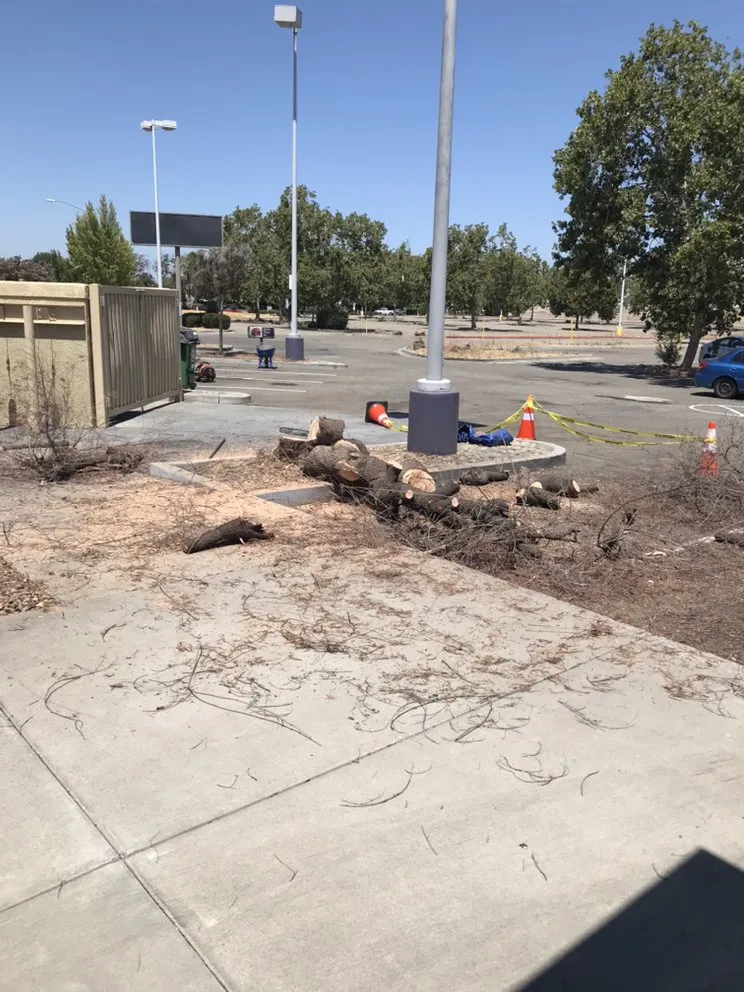 Professional residential landscaping in Tracy, CA - Romero Landscaping & Irrigation