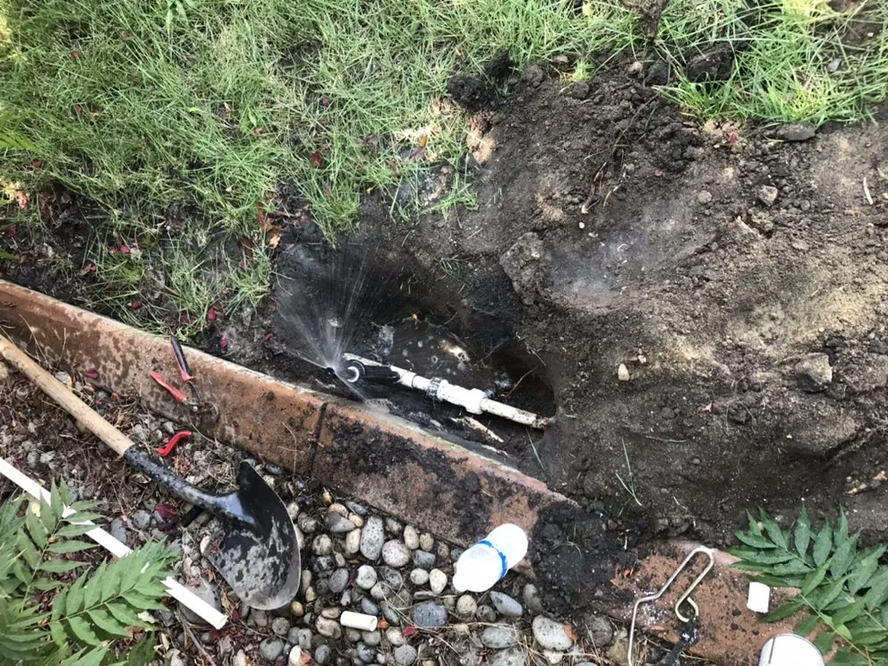 Trusted yard maintenance in Tracy, CA by Romero Landscaping & Irrigation