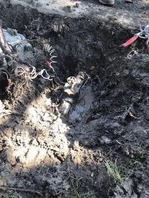 Romero Landscaping & Irrigation Logo