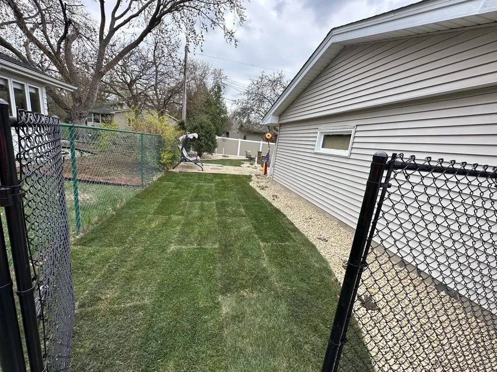 Top-rated yard cleanup service in Minneapolis, MN by Romero Landscaping & Tree Service