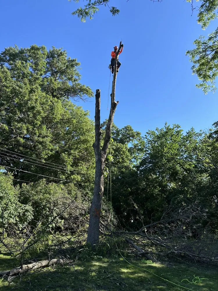 Expert residential landscaping for outdoor upgrades across Minneapolis, MN - Romero Landscaping & Tree Service