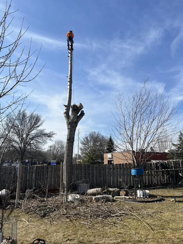 Affordable yard cleanup service in Minneapolis, MN - Romero Landscaping & Tree Service