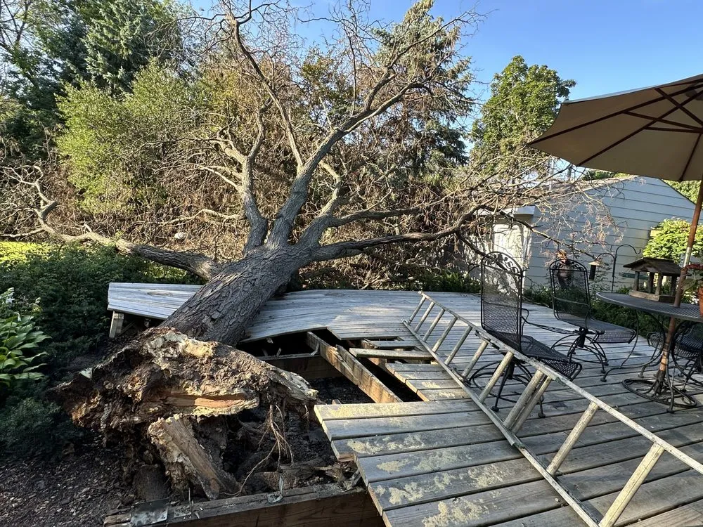 Local garden landscaping for year-round maintenance across Minneapolis, MN - Romero Landscaping & Tree Service