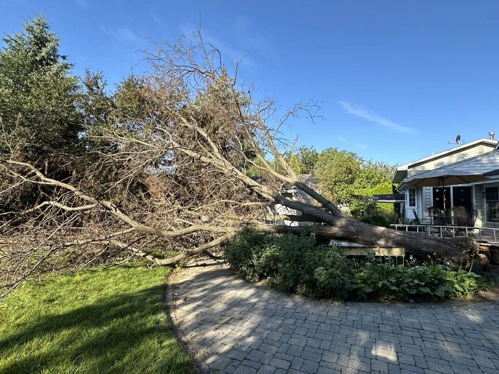 Local landscaping services near you across Minneapolis, MN - Romero Landscaping & Tree Service