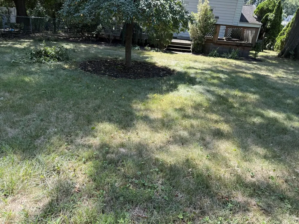 Professional residential landscaping in Bloomingdale, NJ - Romero Landscaping