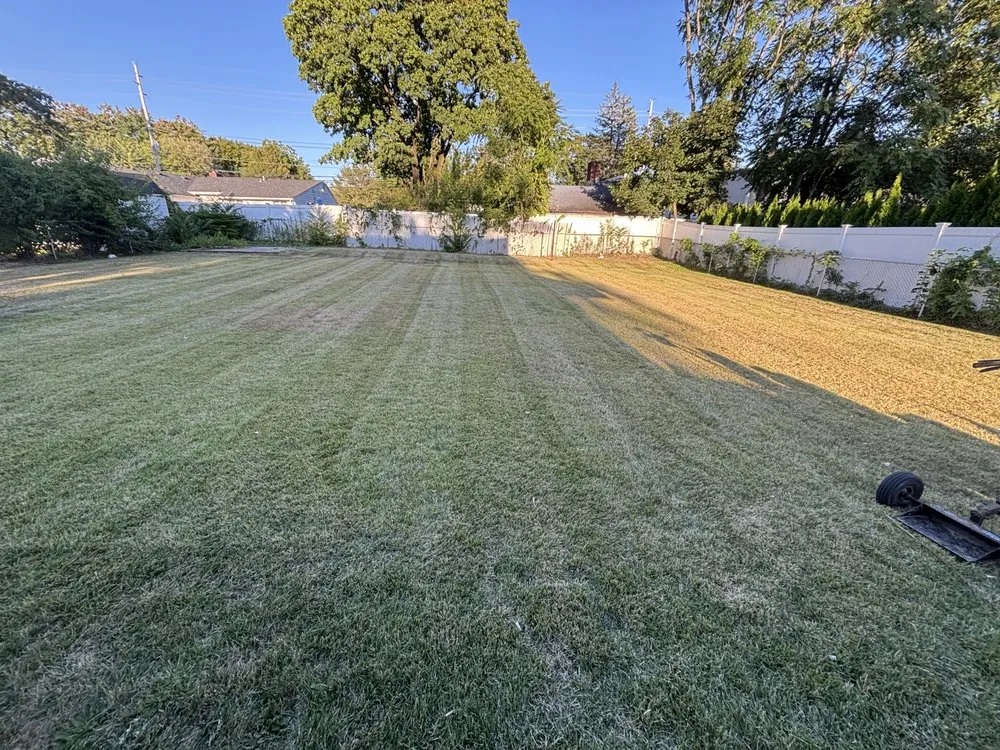 Top-rated yard cleanup service experts serving Bloomingdale, NJ - Romero Landscaping