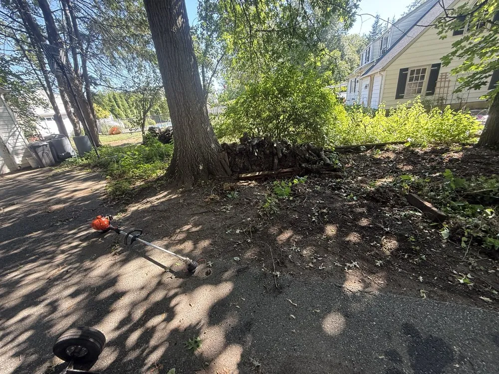 Expert landscape design for outdoor upgrades across Bloomingdale, NJ - Romero Landscaping