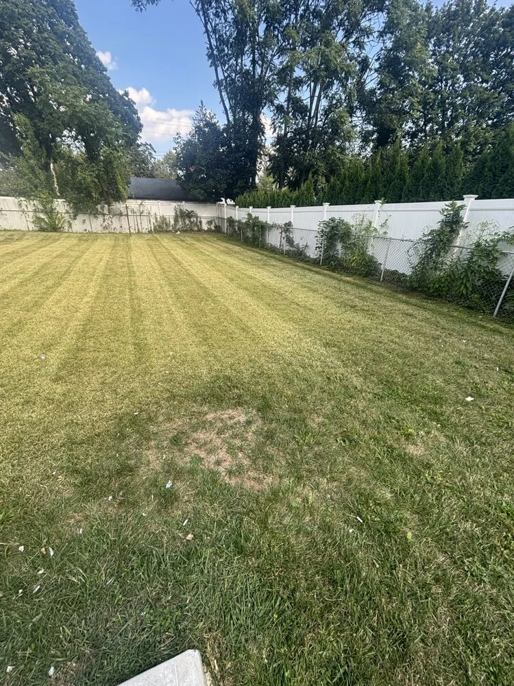 Local residential landscaping in Bloomingdale, NJ by Romero Landscaping