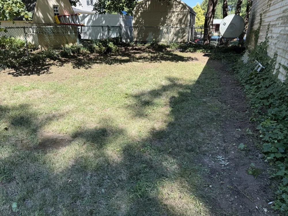 Affordable yard cleanup service in Bloomingdale, NJ - Romero Landscaping