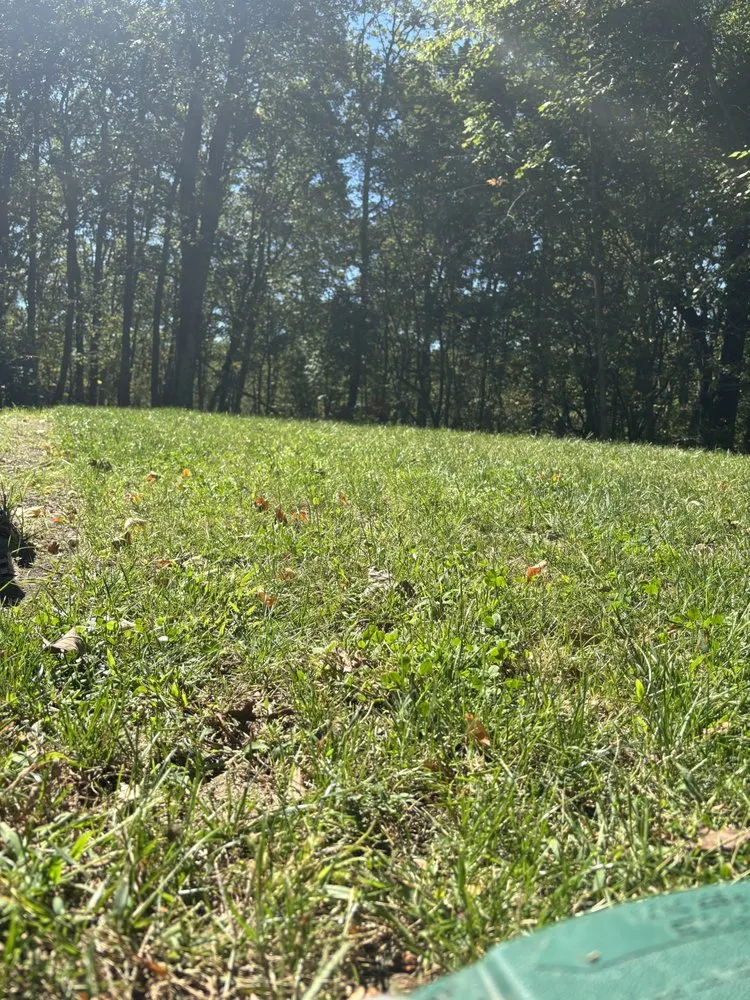 Custom yard cleanup service experts serving Bloomingdale, NJ - Romero Landscaping