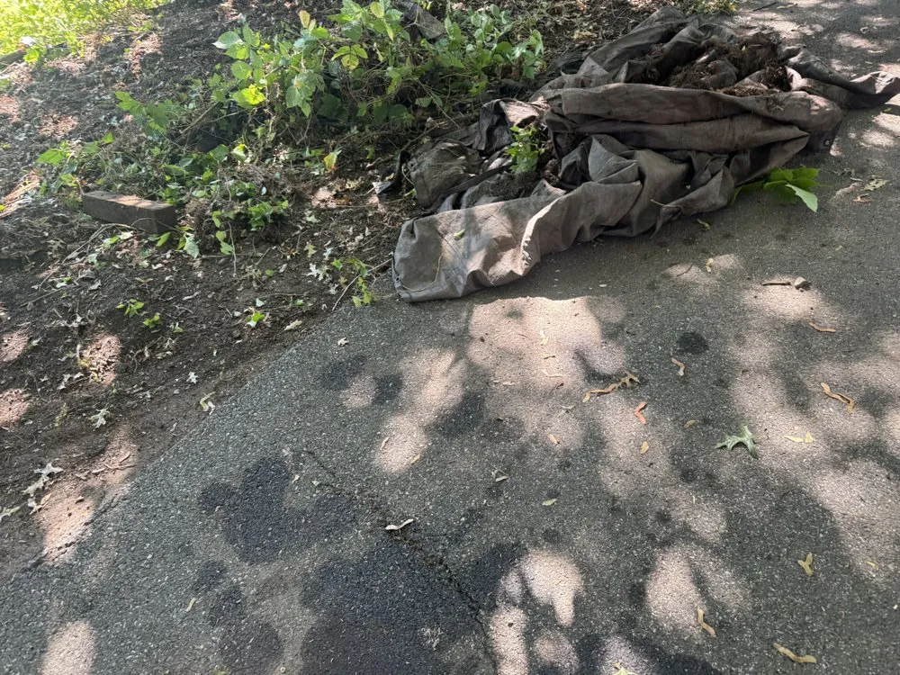 Local yard cleanup service in Bloomingdale, NJ - Romero Landscaping