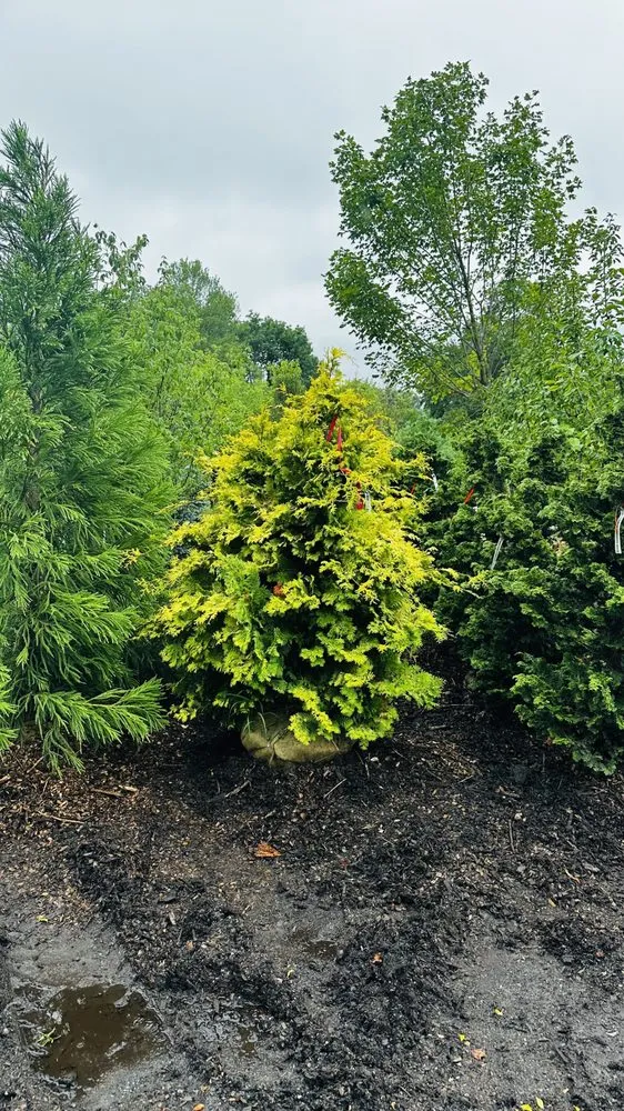 Expert residential landscaping in Brookfield, CT by Romero Landscaping