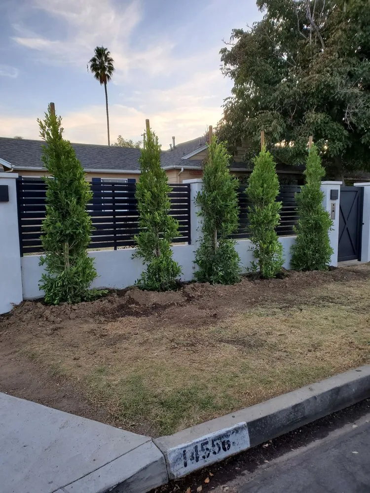 Reliable yard cleanup service in Canoga Park, CA by Romero Landscaping