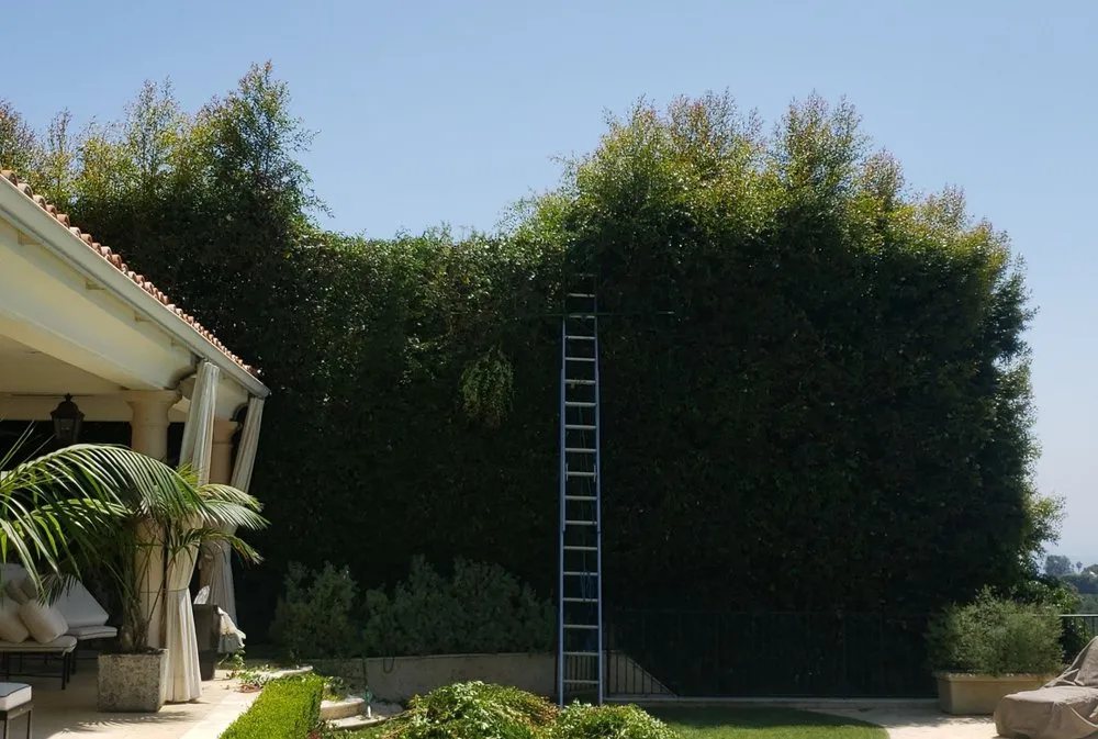 Expert landscape design with custom design in Canoga Park, CA by Romero Landscaping