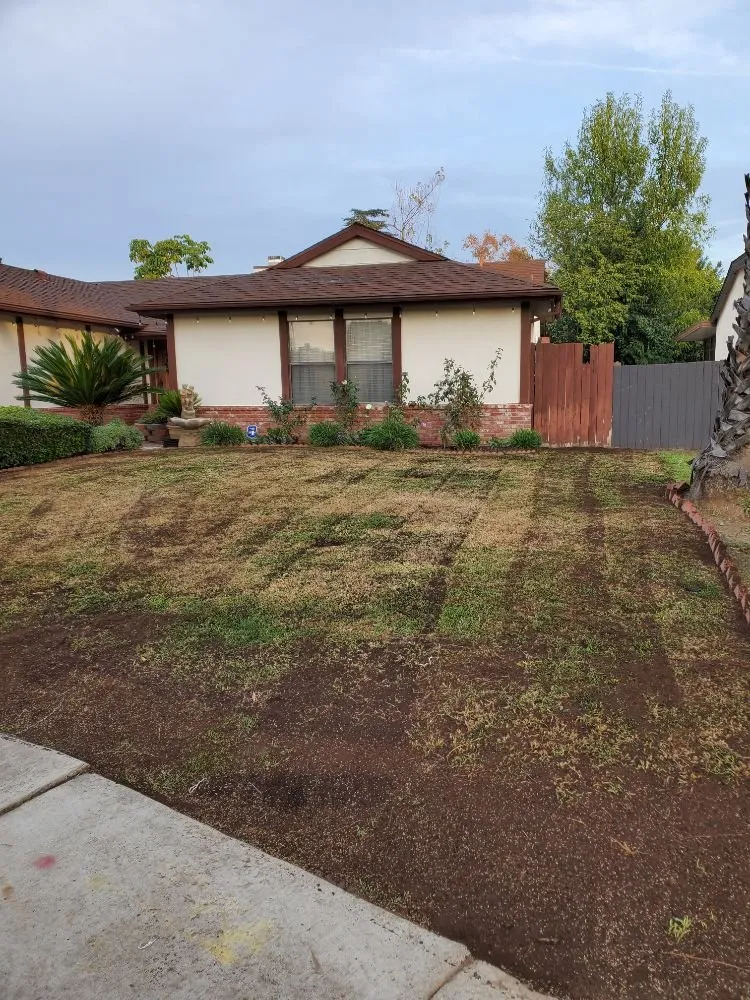 Trusted landscape design experts serving Canoga Park, CA - Romero Landscaping