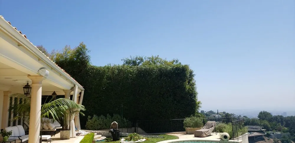 Custom residential landscaping for year-round maintenance across Canoga Park, CA - Romero Landscaping