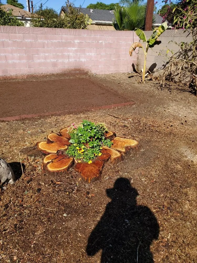 Top-rated residential landscaping experts serving Canoga Park, CA - Romero Landscaping