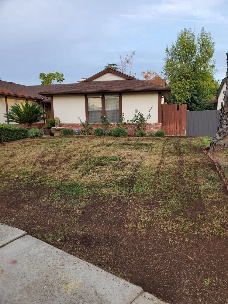 Trusted residential landscaping in Canoga Park, CA by Romero Landscaping