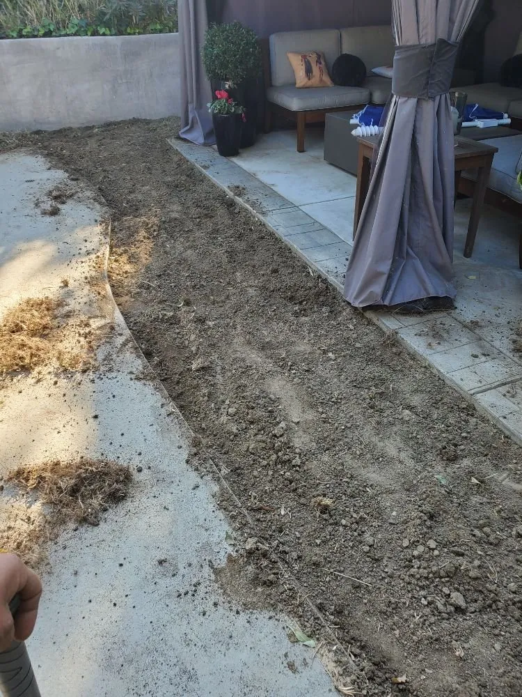 Professional landscape design for beautiful yards in Canoga Park, CA by Romero Landscaping