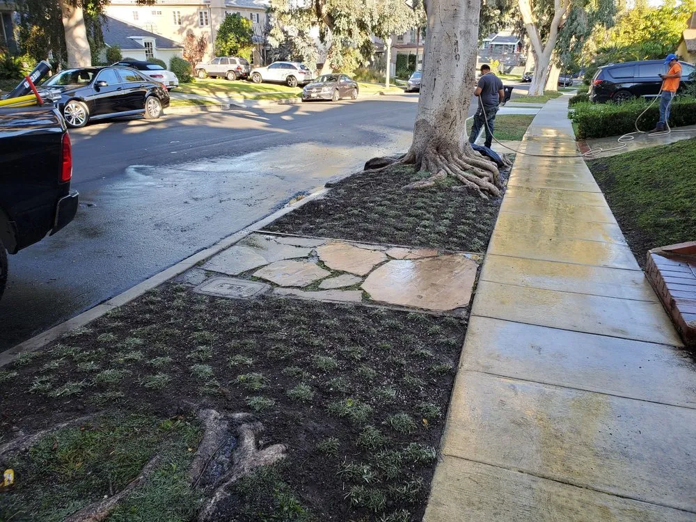Custom garden landscaping in Canoga Park, CA by Romero Landscaping
