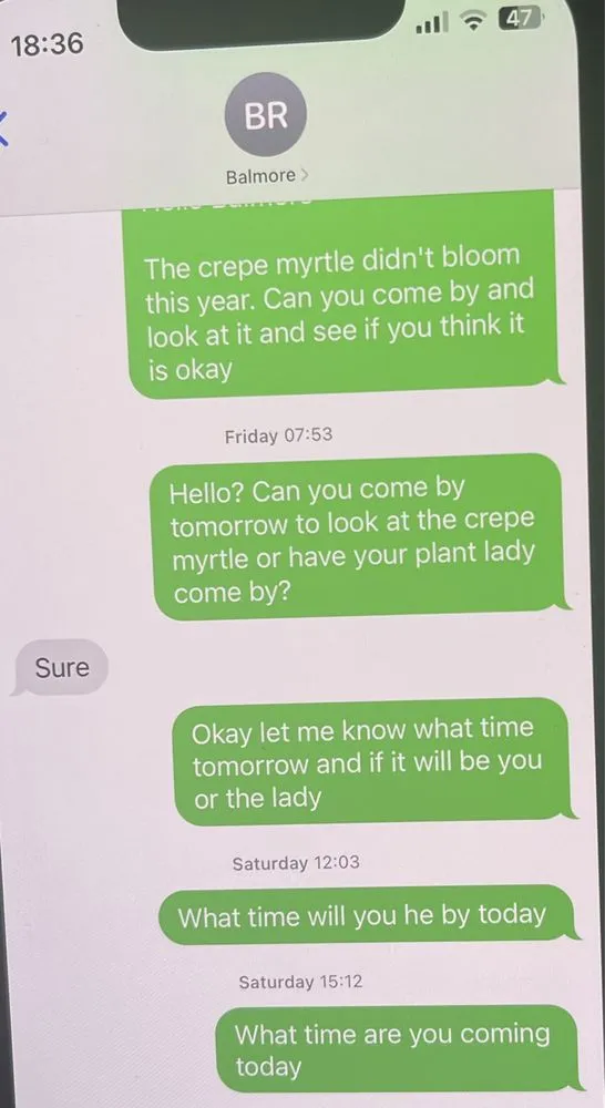 Top-rated landscape design with custom design across Glen Burnie, MD - Romero Landscaping