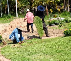 Custom yard cleanup service near you in Glen Burnie, MD by Romero Landscaping