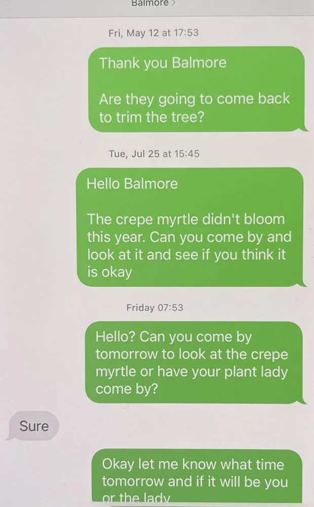 Custom landscape installation for outdoor upgrades across Glen Burnie, MD - Romero Landscaping