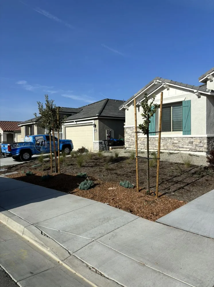 Custom yard cleanup service for residential properties across Menifee, CA - Romero Landscaping