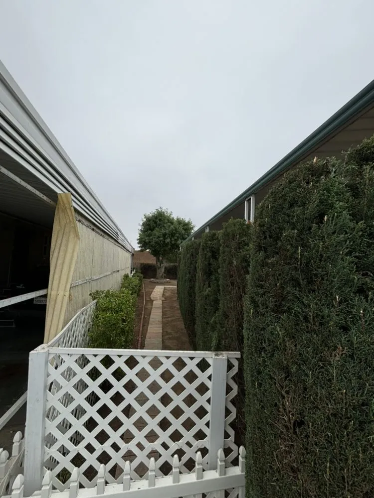 Local lawn care service for year-round maintenance in Menifee, CA by Romero Landscaping