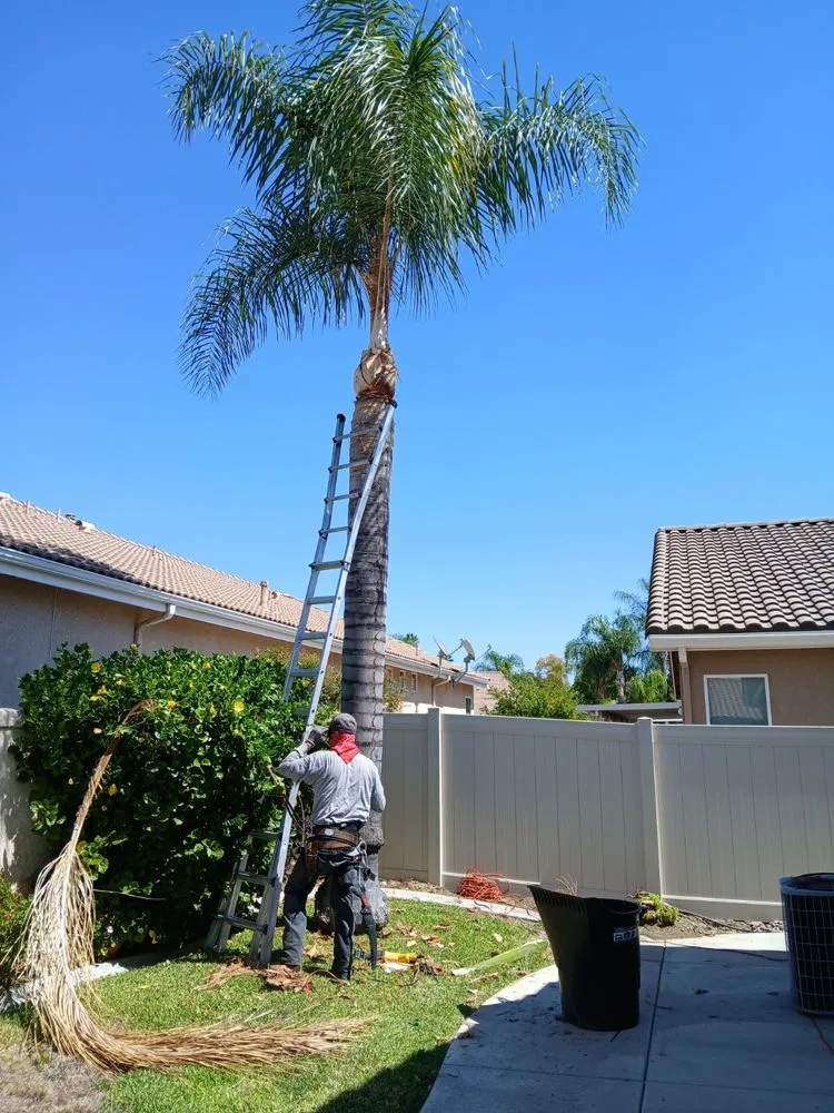 Top-rated landscape installation in Menifee, CA - Romero Landscaping