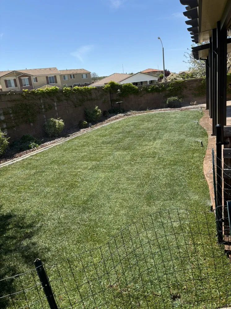 Top-rated landscaping services in Menifee, CA - Romero Landscaping