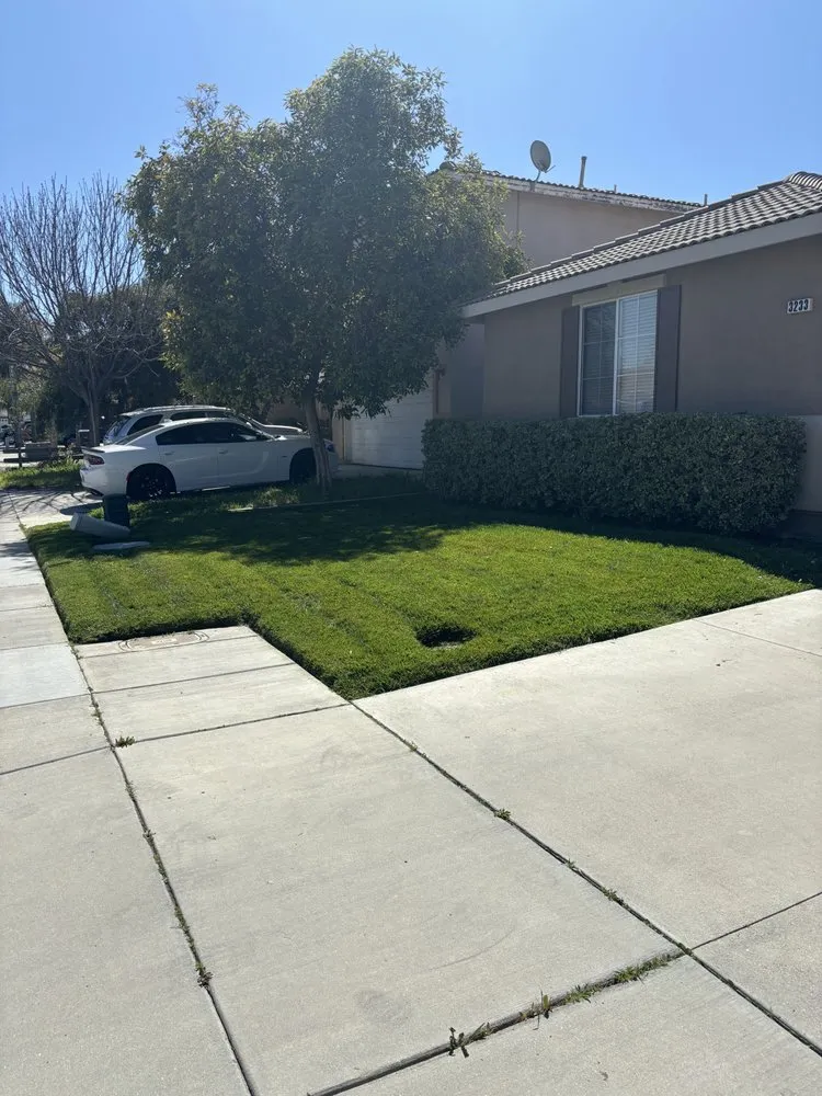 Professional yard cleanup service in Menifee, CA by Romero Landscaping