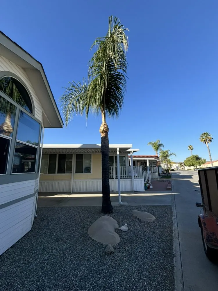 Professional yard maintenance near you across Menifee, CA - Romero Landscaping