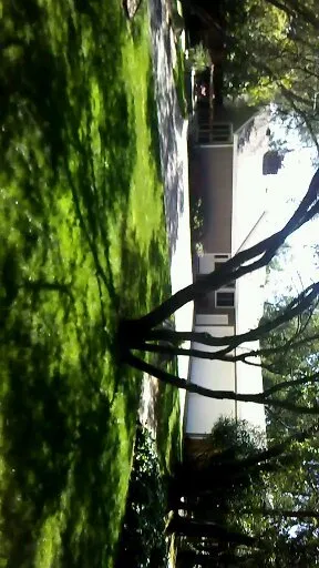 Reliable yard maintenance in North Highlands, CA - Romero Landscaping