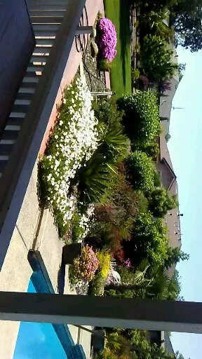 Custom yard cleanup service in North Highlands, CA - Romero Landscaping