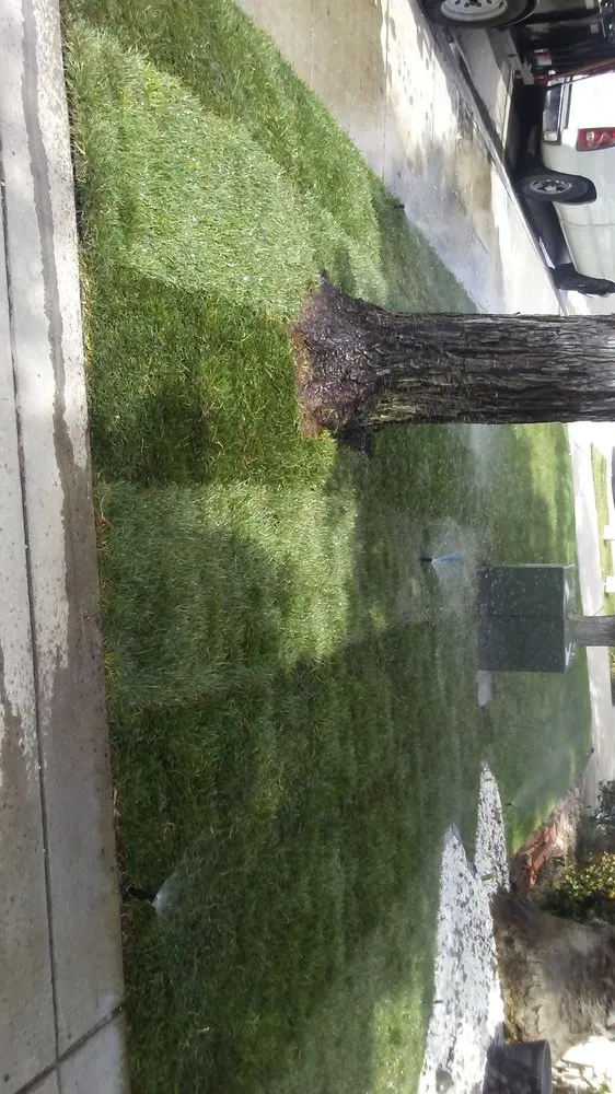 Reliable lawn mowing service with custom design in North Highlands, CA by Romero Landscaping