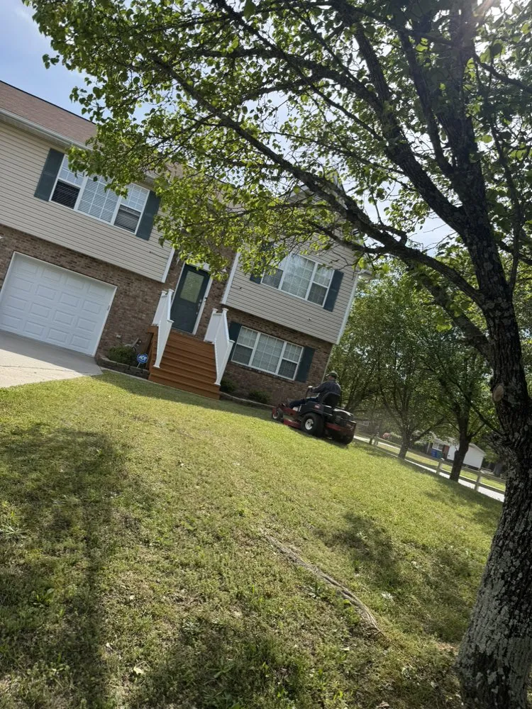 Reliable landscaping services with custom design in Raleigh, NC by Romero Landscaping