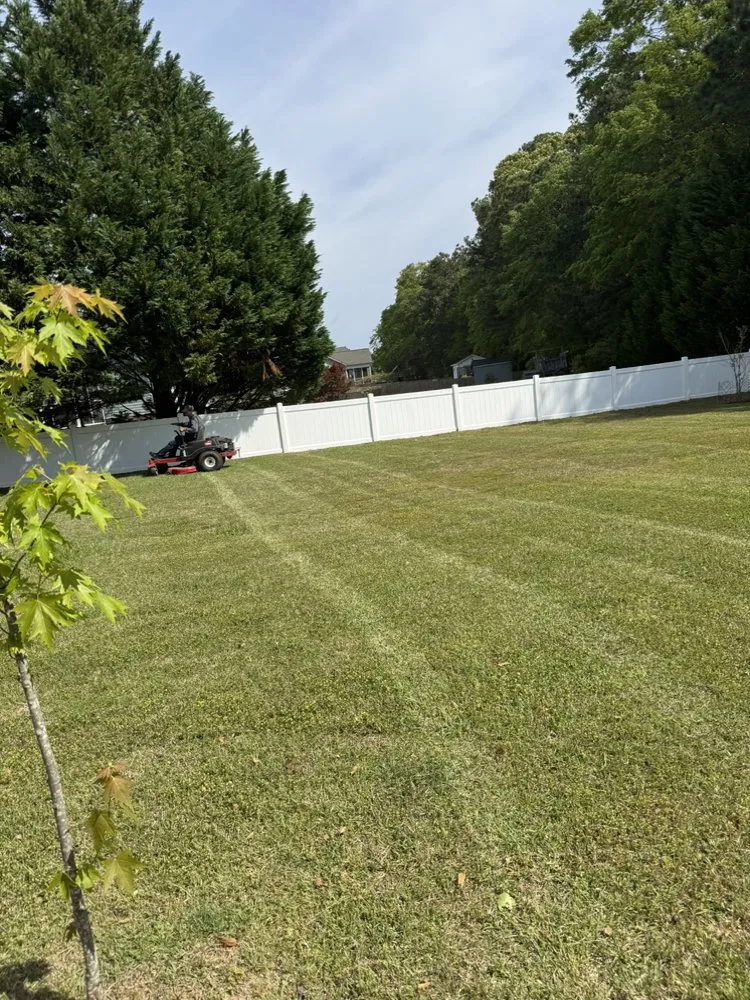 Expert residential landscaping in Raleigh, NC - Romero Landscaping