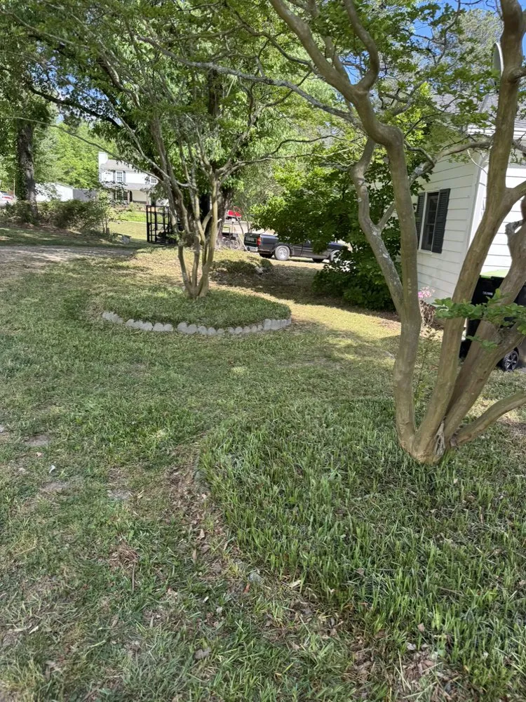 Local residential landscaping in Raleigh, NC - Romero Landscaping