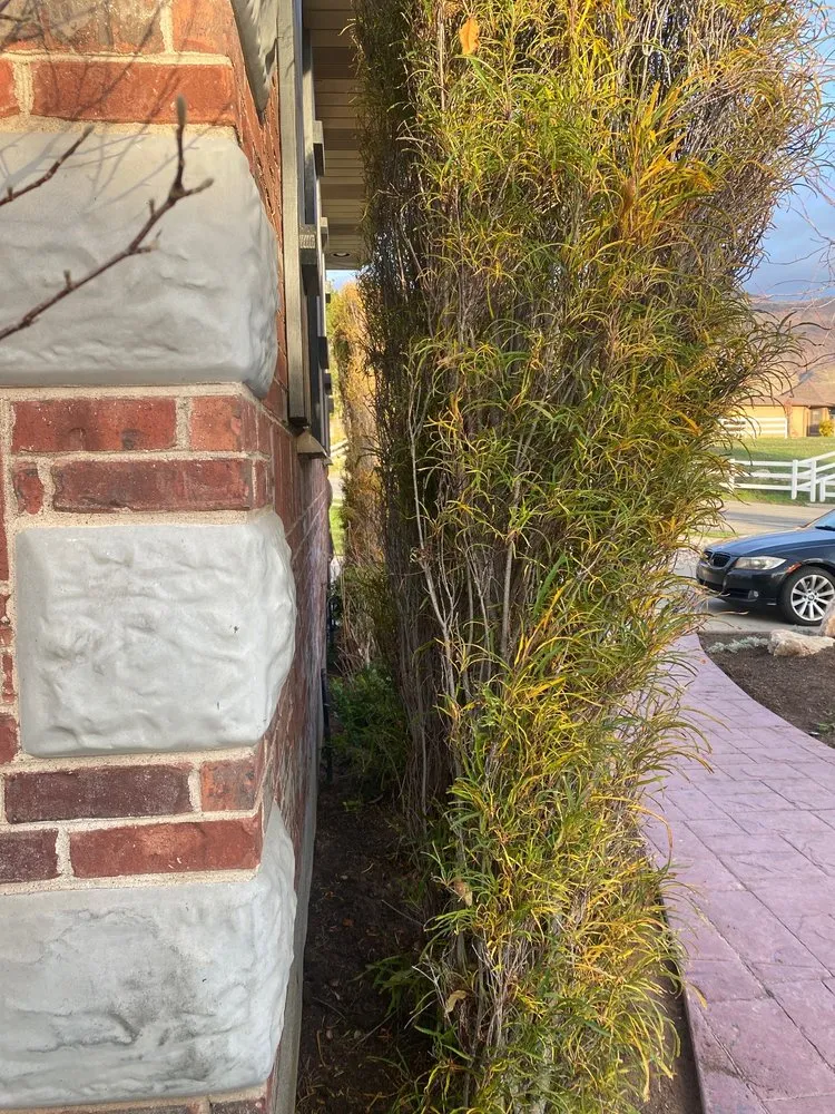 Trusted yard maintenance for residential properties across Salt Lake City, UT - Romero Landscaping