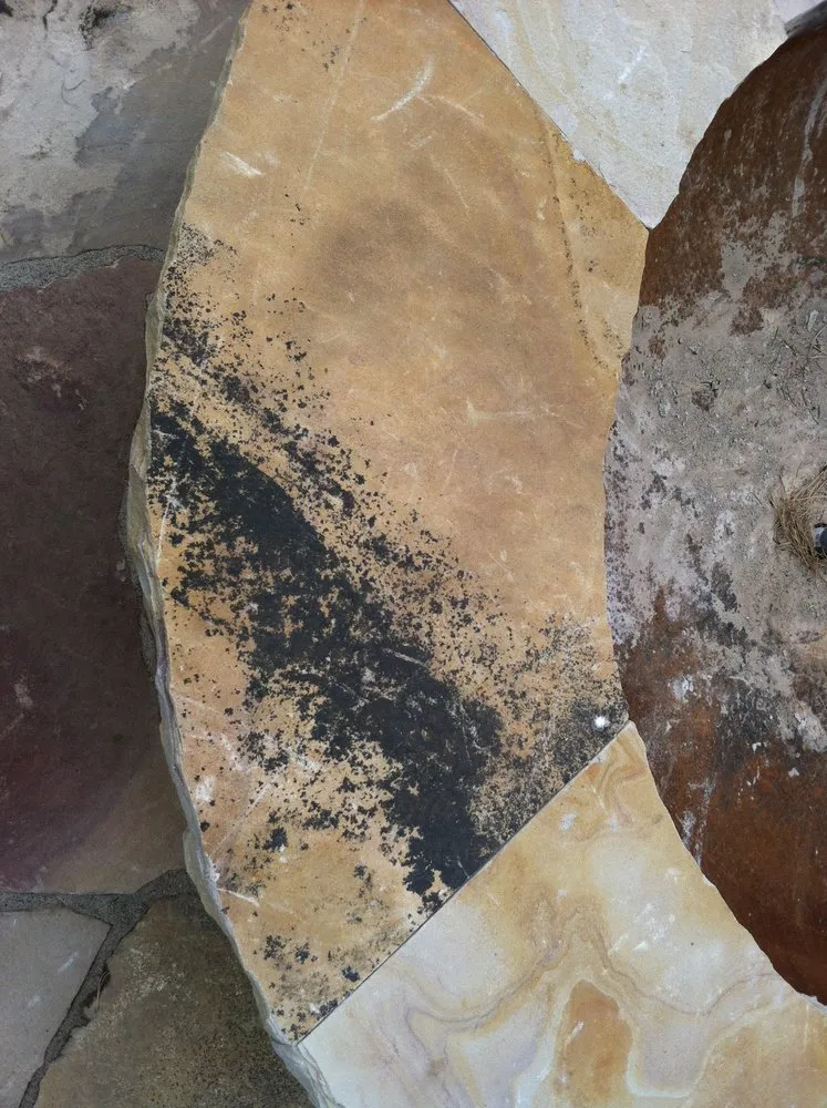 Custom yard cleanup service for year-round maintenance in Salt Lake City, UT by Romero Landscaping