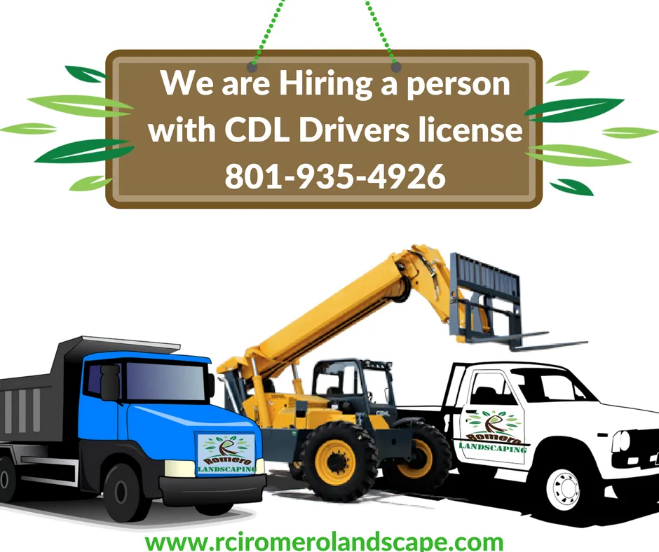 Affordable yard cleanup service for residential properties in Salt Lake City, UT by Romero Landscaping