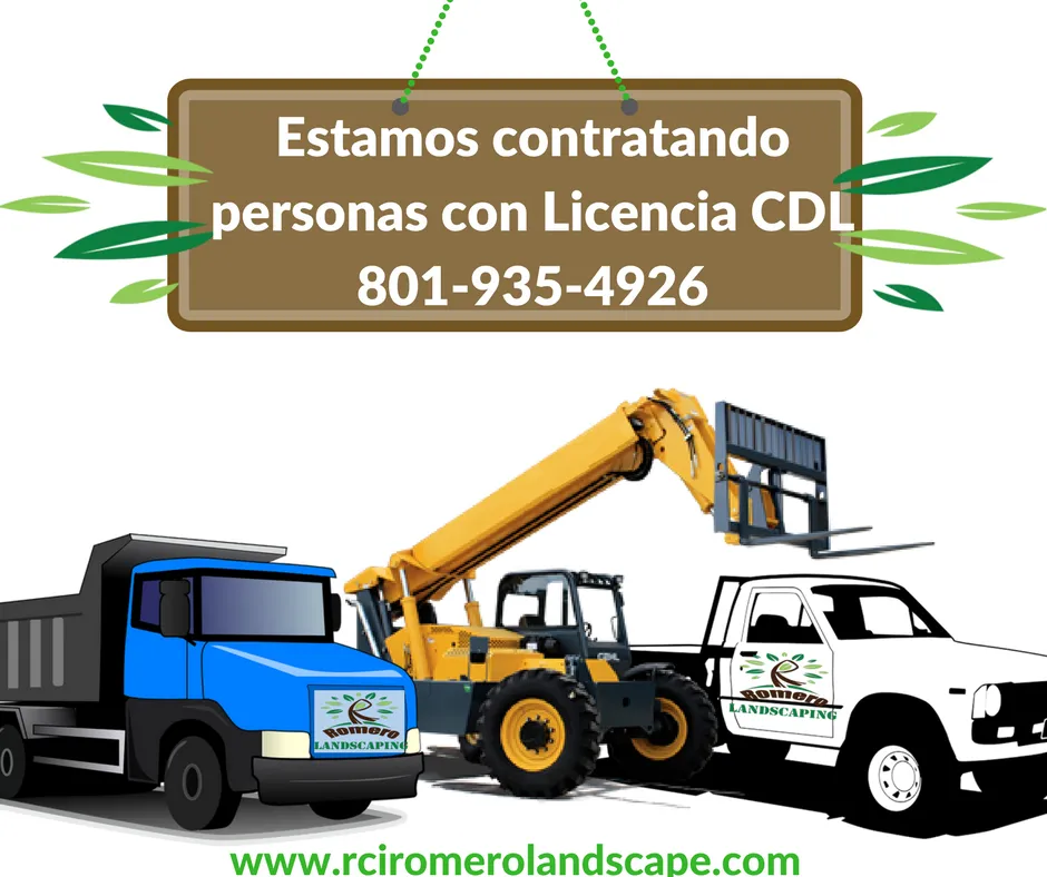 Reliable yard cleanup service for residential properties in Salt Lake City, UT by Romero Landscaping