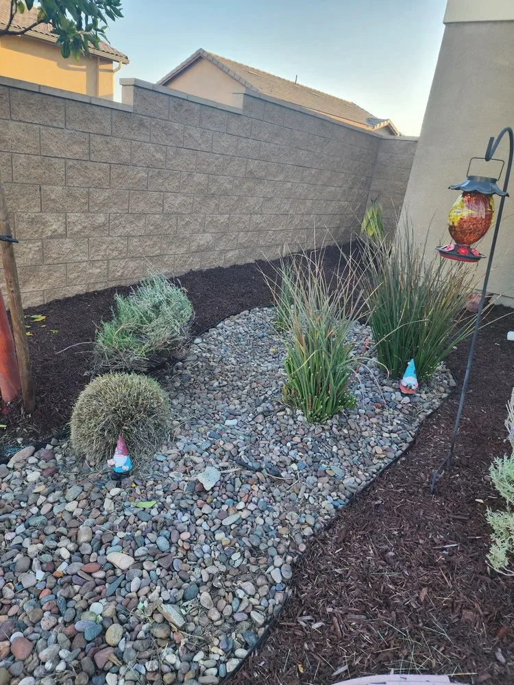 Trusted yard maintenance experts serving San Bernardino, CA - Romero Landscaping