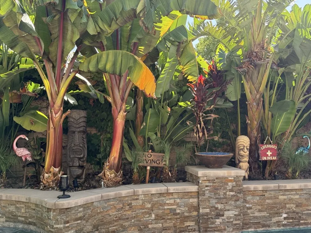 Reliable yard cleanup service in San Bernardino, CA - Romero Landscaping